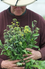 Caption: Tim Sommer of Purple Sage Farms, Credit: Guy Hand