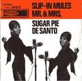 Sugar_pie_de_santo_45_small