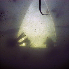 Piece image