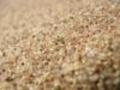 Sandgrain_small