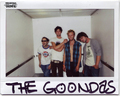 Goondas_small