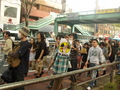Sign_in_the_crowd_small