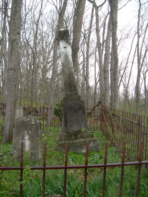 Piece image