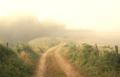 Webpicture_small