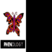 Piece image