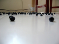 Fallen_blueberries_small