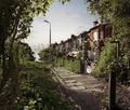 Wild_hackney_small