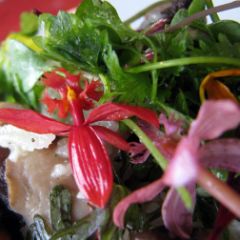 Caption: Edible Flower Salad, Credit: LexnGer/Flickr