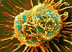 Caption: Cell! Cell!, Credit: Seth Shostak