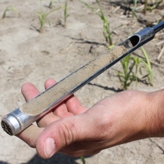 Caption: A soil penetrometer, used to test the amount of moisture in the ground, stands in a southwest Kansas field., Credit: Eric Durban/Harvest Public Media