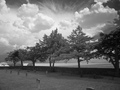Graveyard_online_small