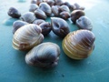 Dscn0283_small