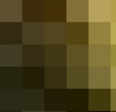 Piece image