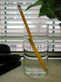 Pencilin_in_water_small