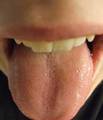 129-tongue-main_small