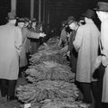 Tobacco_auction1959_use_small