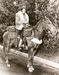 Caption: Sam Diamond