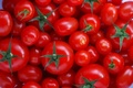 2tomatoes3_small