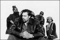 Michaelfranti_small