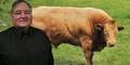 09_victor_bull_small