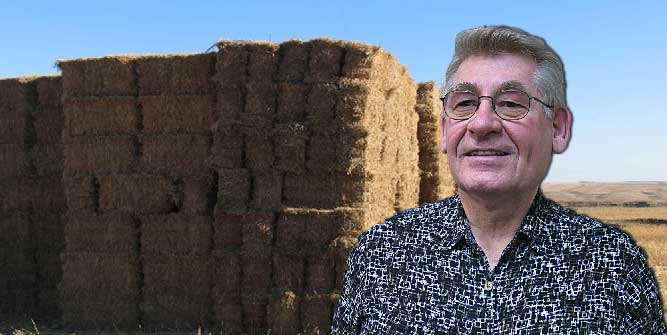 Caption: Wade Wipperling
