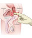 Piece image
