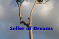 Sellerofdreams_small