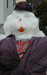 Caption: Red Sox fans frozen out of playoffs!