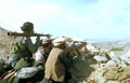 Afghan_small