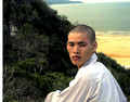 Monkposter_small