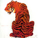 Lynn_seua3_square