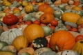 Apumpkins_small