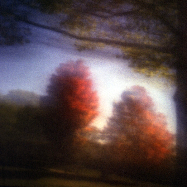 Caption: Photo by, Matt Callow, Flickr