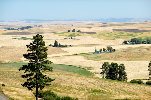 Caption: Wheat fields in the Palouse region of North Idaho, Credit: Guy Hand