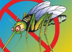 Caption: Bug Off!, Credit: Seth Shostak