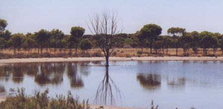 Piece image