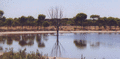 12436151_small