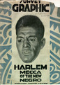 Harlemgraphicmedium_small