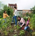 Peoplegardening_small