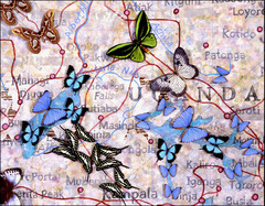 Piece image