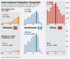 Adoptions_graphic_medium