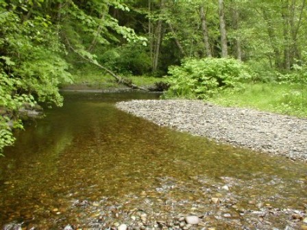 Caption: Low stream