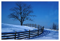 Treewinterscene_small