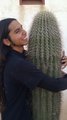 Caesar_hugs_a_cactus_small