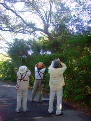 Caption: Tropical Audobon Society members on the annual Christmas Bird Count, Credit: Dina Weinstein