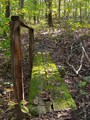 Summertrail_small
