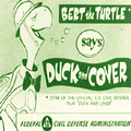 Duck_small