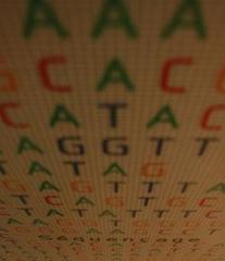 Caption: Four nucleic acid bases, represented by the letters A, C, G, and T, make up your DNA. Researchers are working to decode their secrets., Credit: Flickr user skreck.