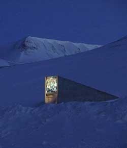 Caption: here the world's seeds stay safe., Credit: Image courtesy of Mary Tefre/Svalbard Globale Seed Vault.
