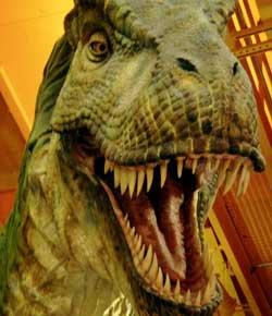 Caption: Where are your feathers, T-Rex?, Credit:  Image courtesy of Flickr user InfoMofo.